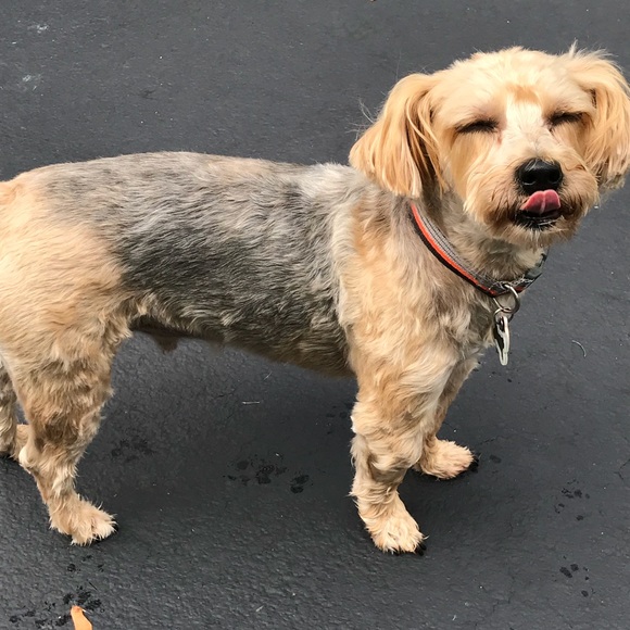 Meet your Posher, Wendy - Picture 3 of 4